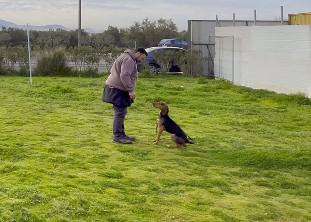 Proekpaideysi-Koutabion