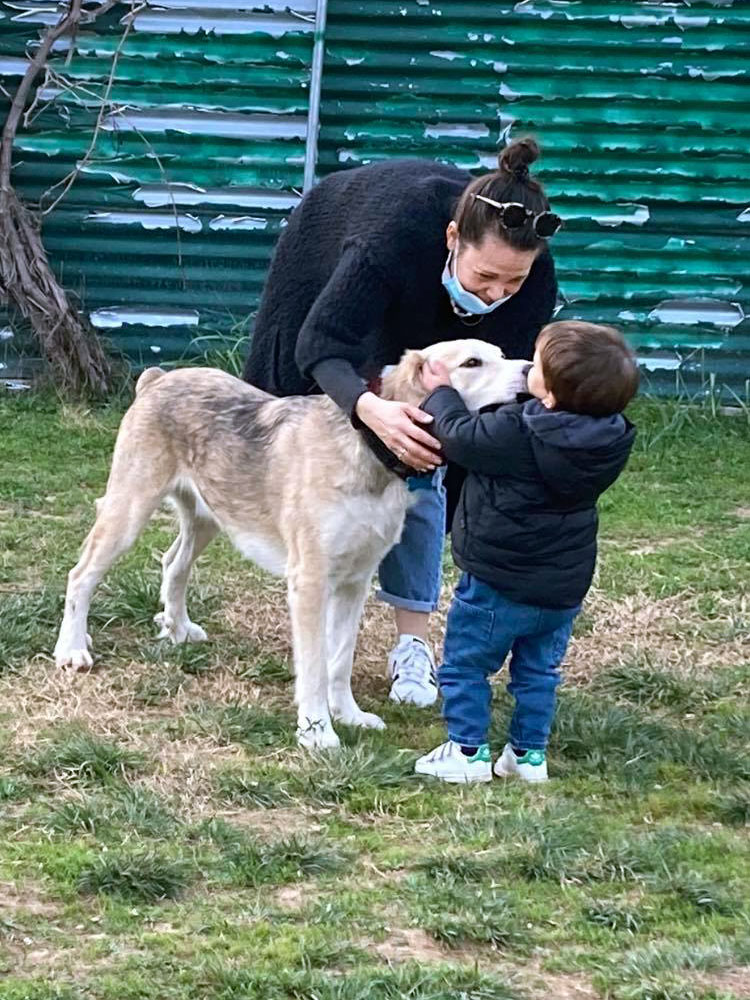kid playing with dog